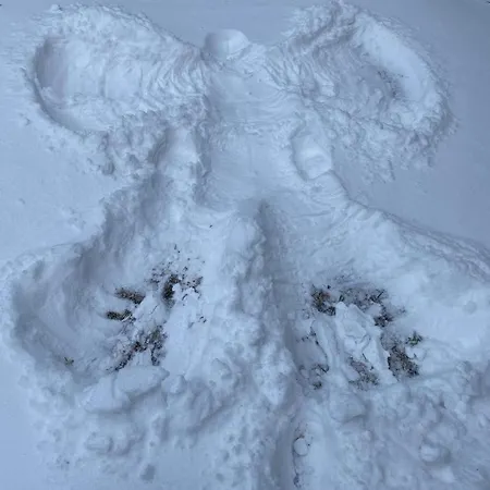 Horska Lada Guest house *