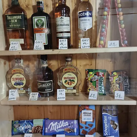 Guest house Horska Lada *