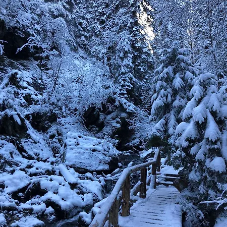 Horska Lada * Loucna pod Klinovcem