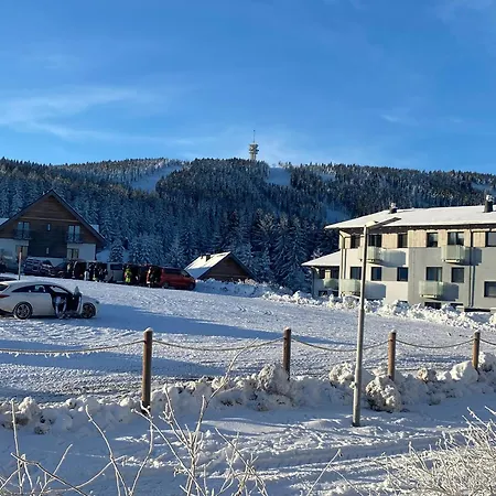 Guest house Horska Lada *